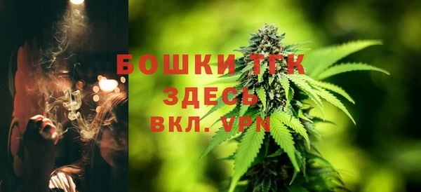 ПСИЛОЦИБИНОВЫЕ ГРИБЫ Балабаново
