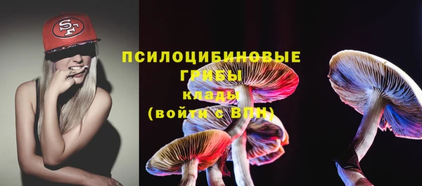 ГАЛЛЮЦИНОГЕННЫЕ ГРИБЫ Балахна