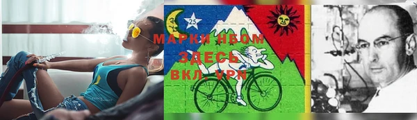 ГАЛЛЮЦИНОГЕННЫЕ ГРИБЫ Балахна