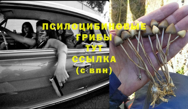 ПСИЛОЦИБИНОВЫЕ ГРИБЫ Балабаново
